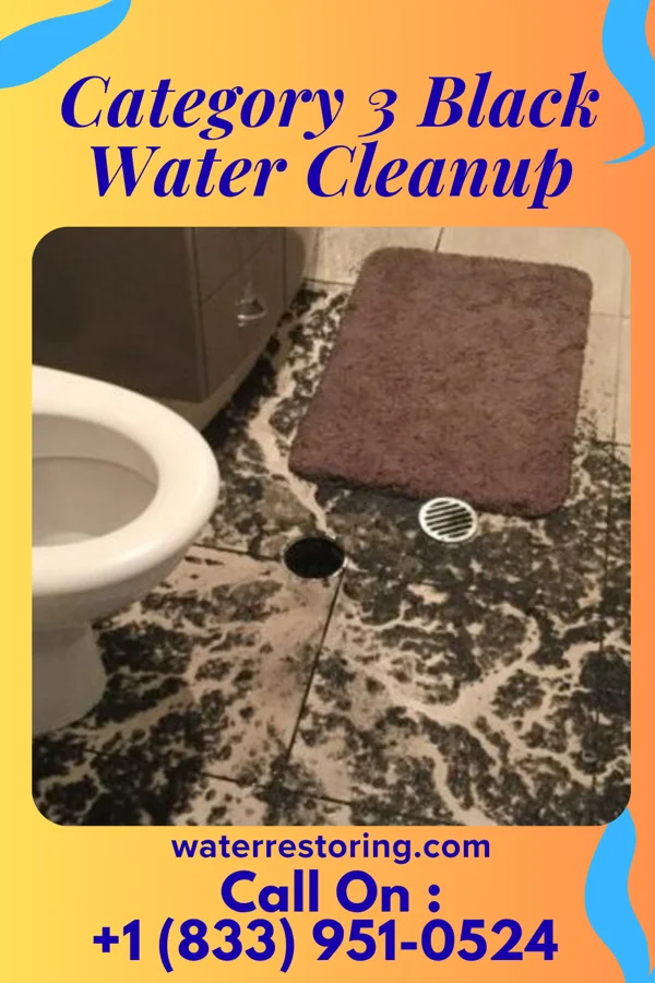 Category 3 Black Water Cleanup in Woodlawn, KY