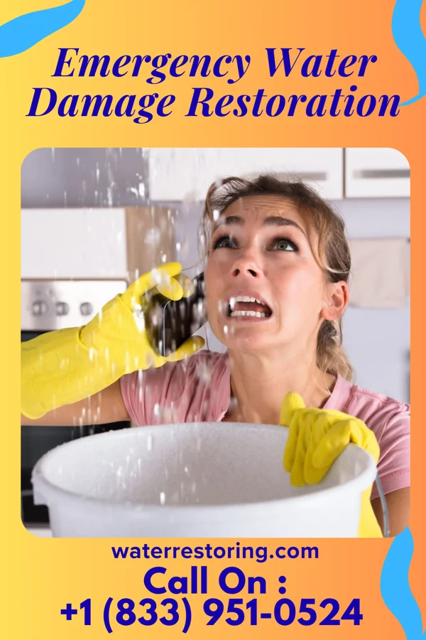 Emergency Water Damage Restoration in Woodlawn, KY