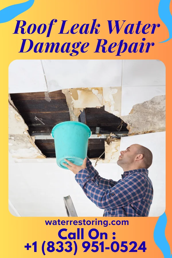 Roof Leak Water Damage Repair in Woodlawn, KY