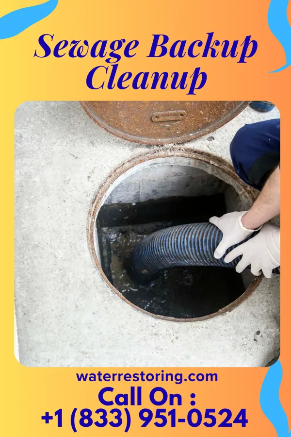 Sewage Backup Cleanup in Woodlawn, KY
